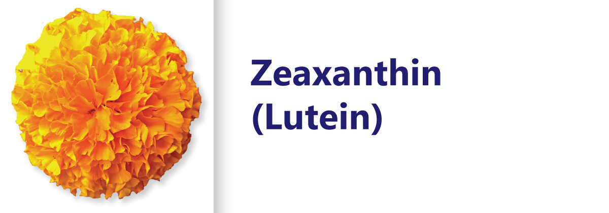 Zeaxanthin